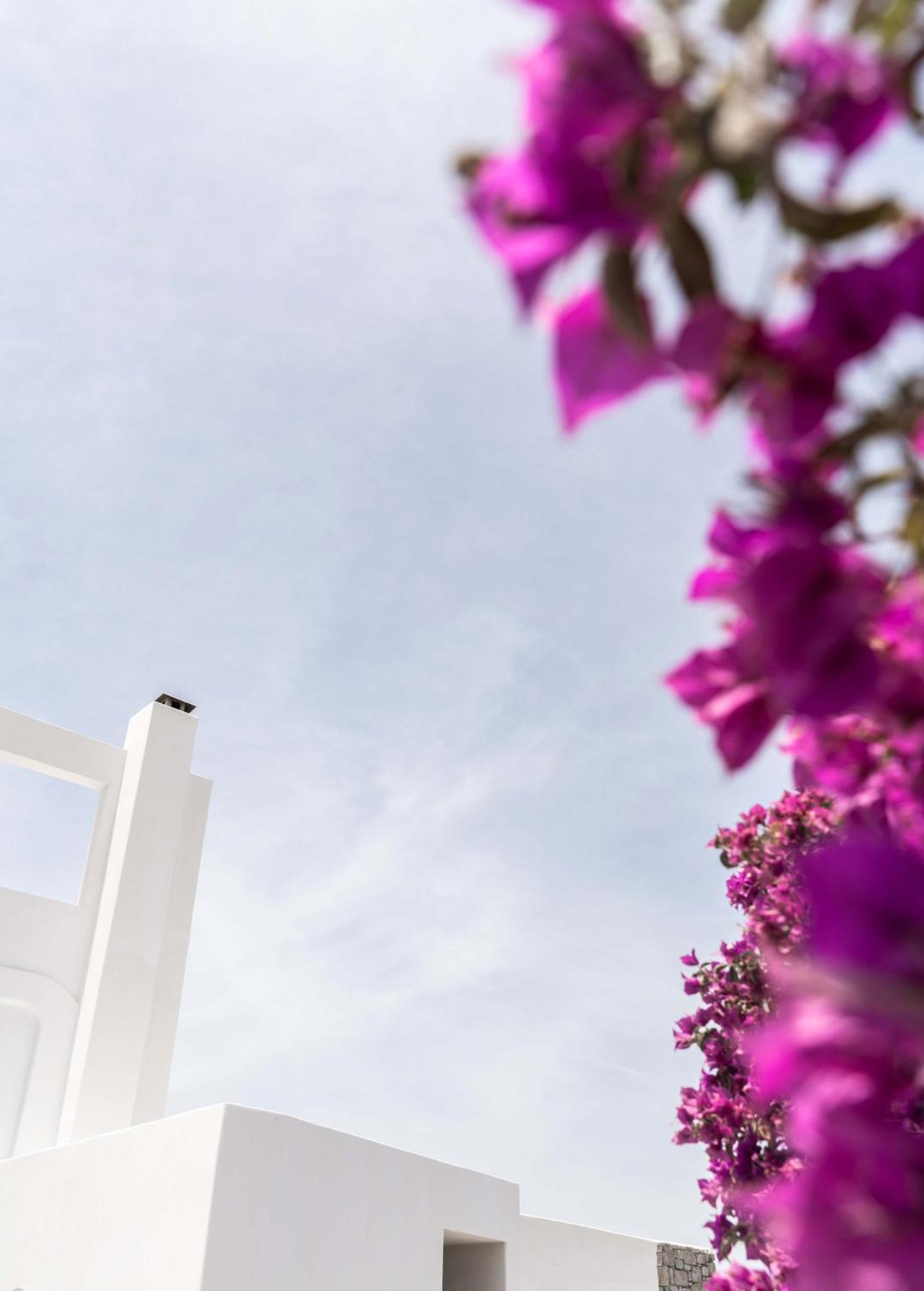 Philosophy Of Mykonos Boutique Hotel Mykonos Town المظهر الخارجي الصورة
